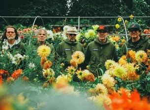 Super Furry Animals