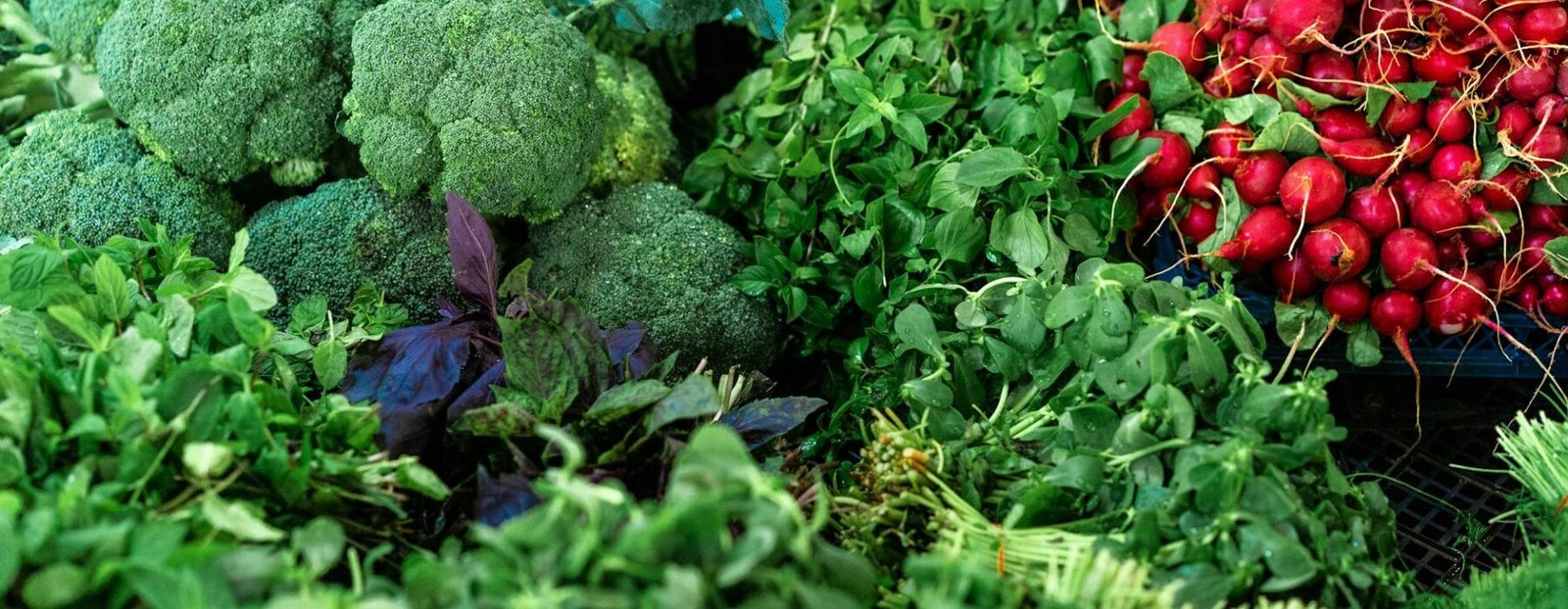 Best Vegan Restaurants in Manchester 2026 — No Compromise Required │ MCR