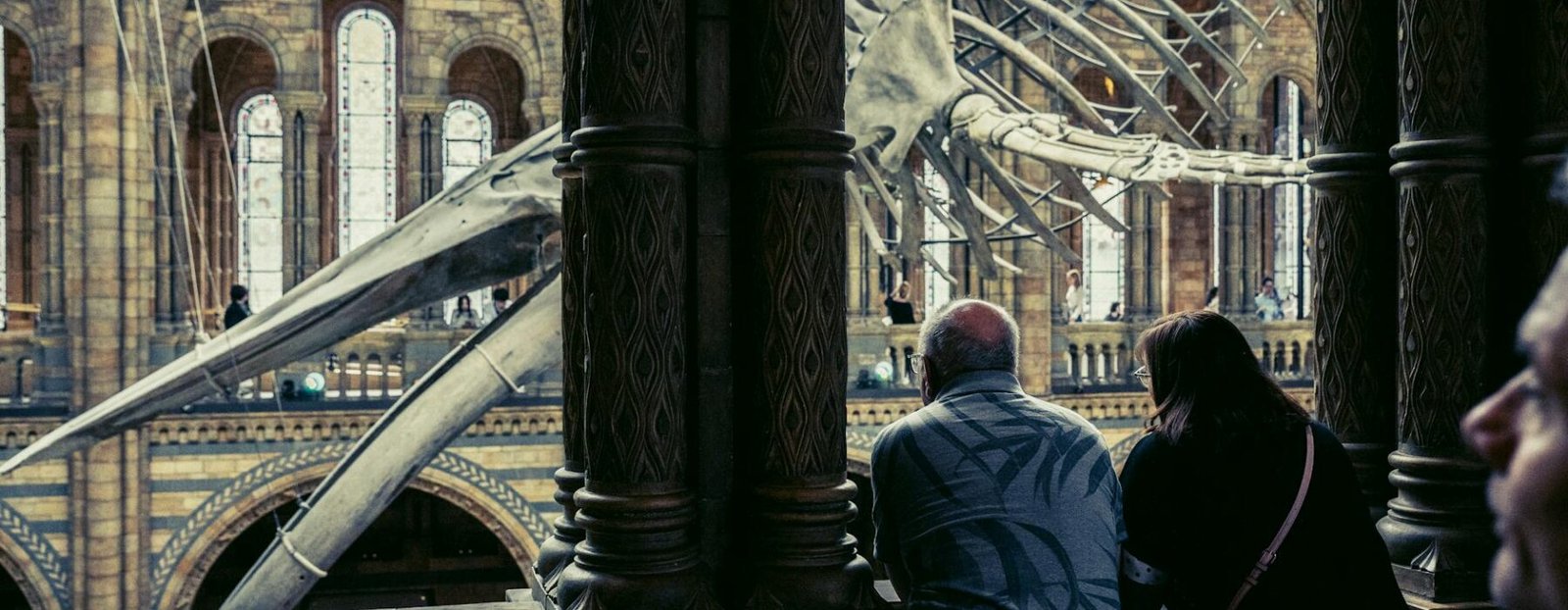 Manchester Museum — Culture