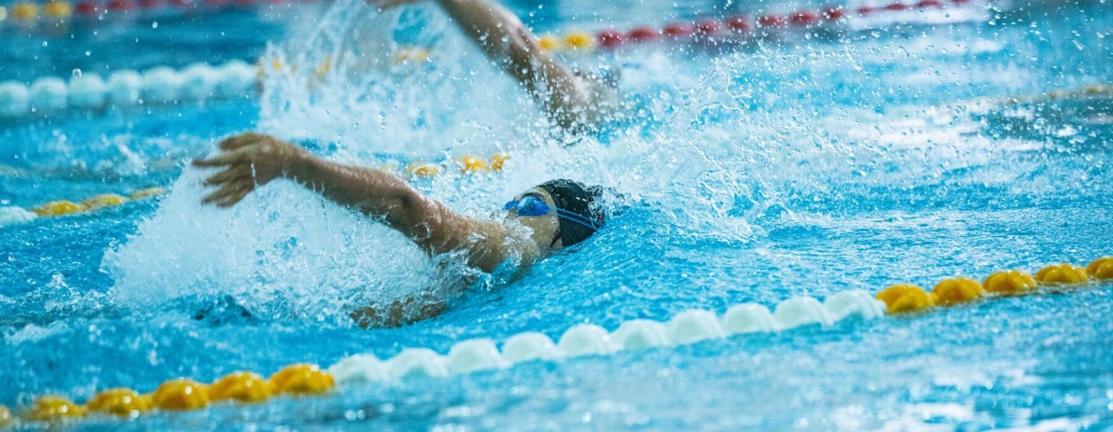 Manchester Aquatics Centre  -  Sport