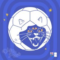 DISCO PUSS: “Disco Ball’s coming home” – ENGLAND SEMI FINAL