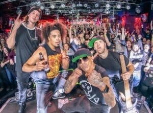 HED PE / COLD