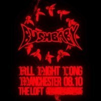 The Loft: Bushbaby (All Night Long)