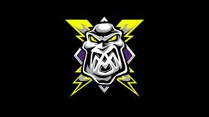 Manchester Storm Fanzone (valid with game ticket only)