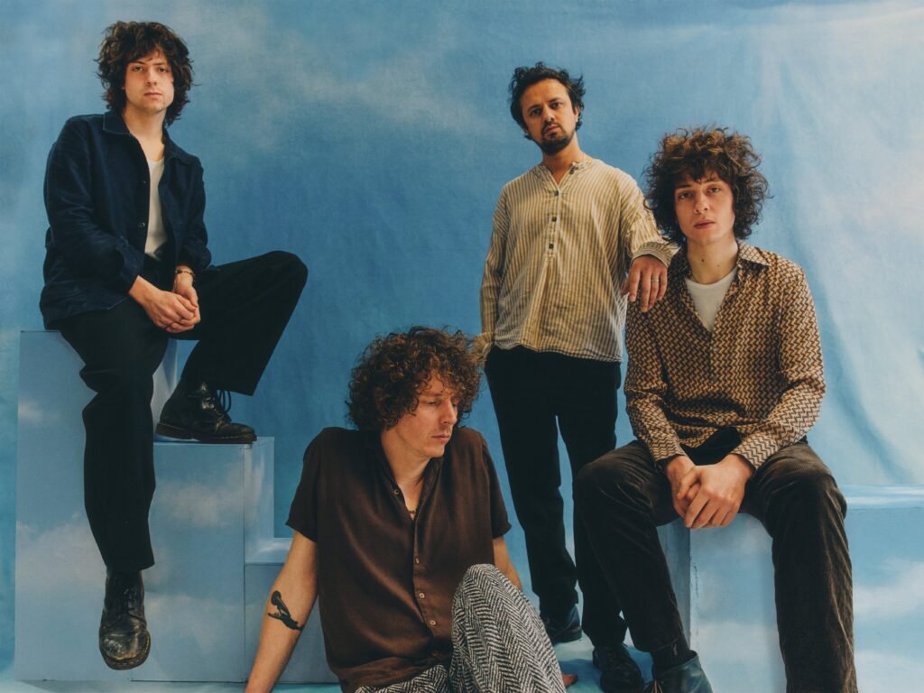Mystery Jets